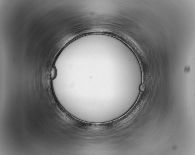 X0000103411177200810031239