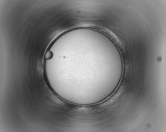 X0000103411178200810031239