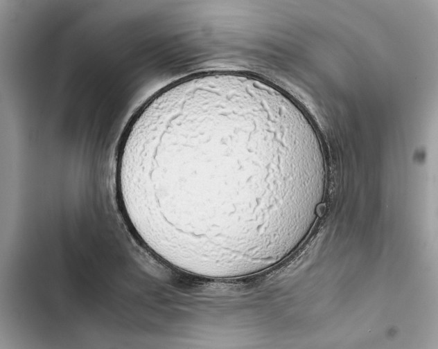 X0000103411179200810031239