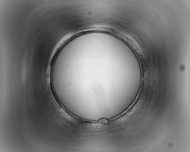 X0000103411180200810031239