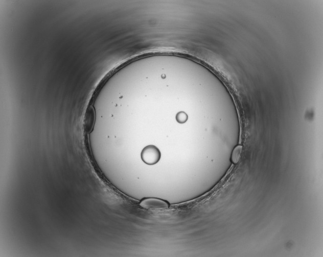 X0000103411181200810031239