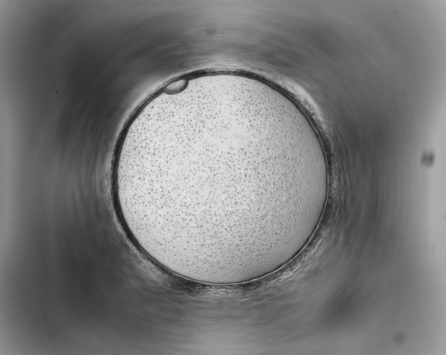 X0000103411183200810031239