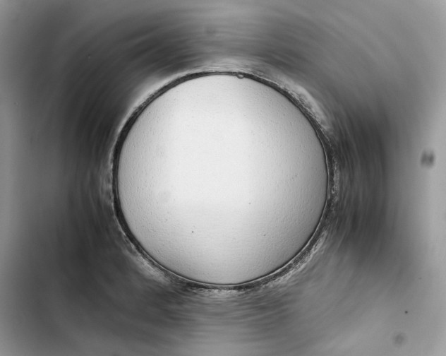 X0000103411184200810031239