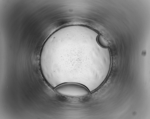 X0000103411185200810031239