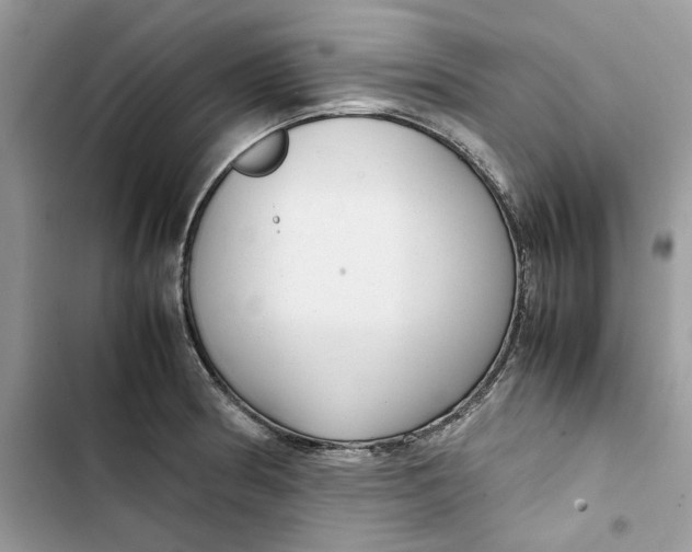 X0000103411186200810031239