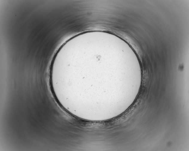 X0000103411187200810031239