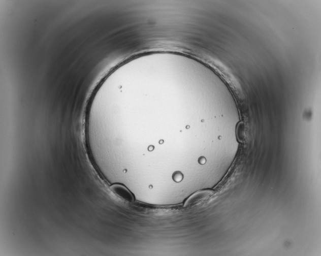 X0000103411188200810031239