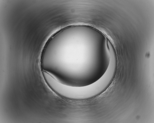 X0000103411189200810031239