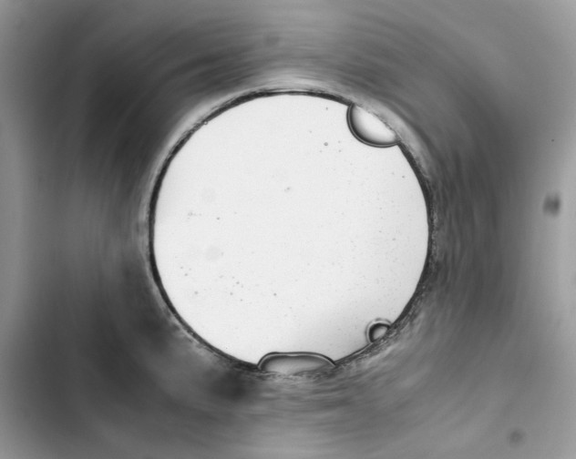 X0000103411191200810031239