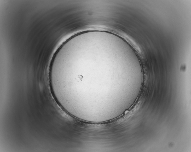 X0000103411192200810031239