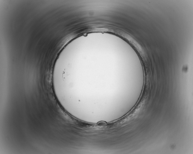 X0000103411193200810031239