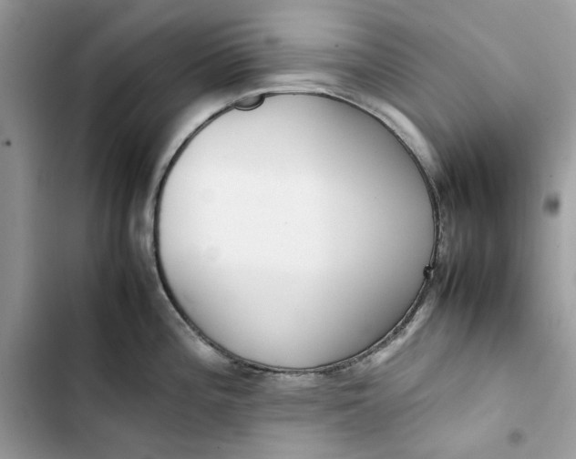 X0000103411196200810031239