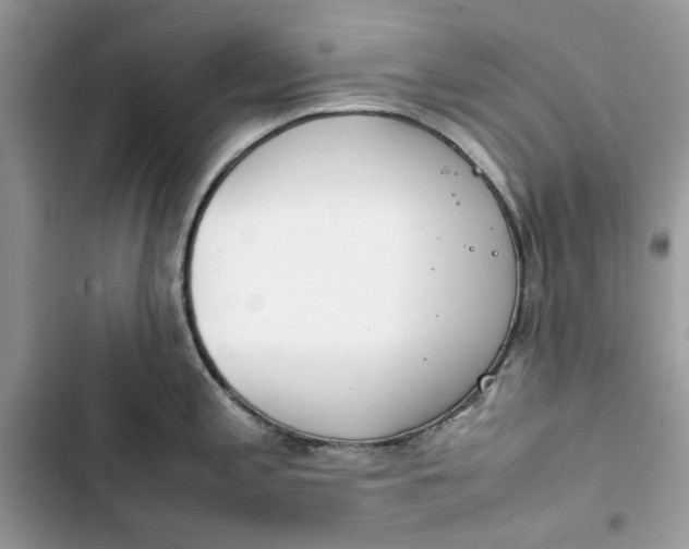 X0000103411197200810031239