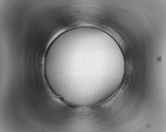 X0000103411198200810031239