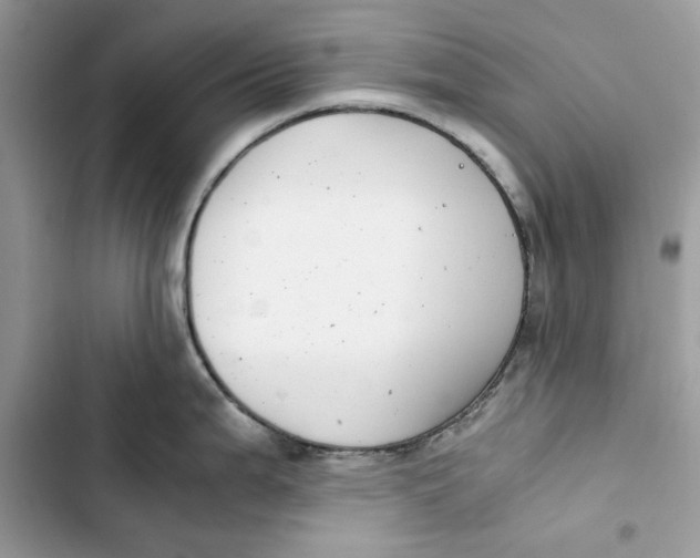 X0000103411199200810031239