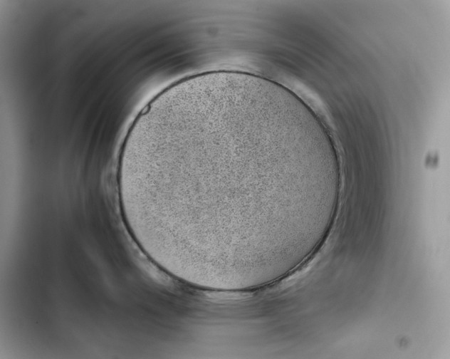 X0000103411200200810031239