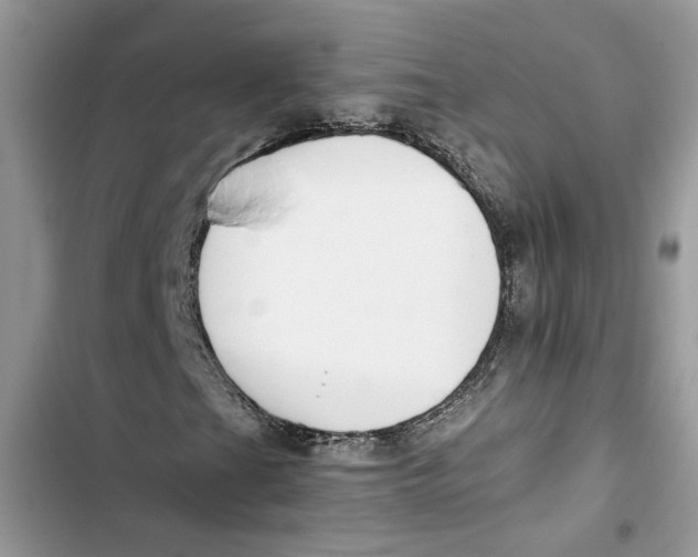 X0000103411201200810031238