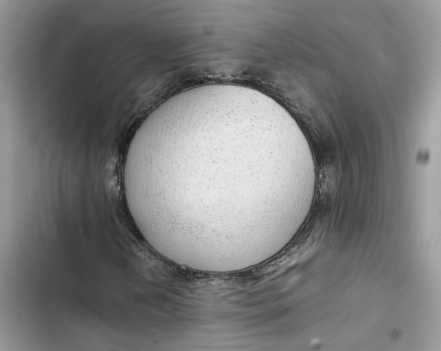 X0000103411202200810031238