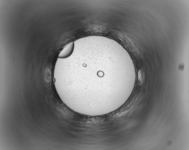 X0000103411203200810031238