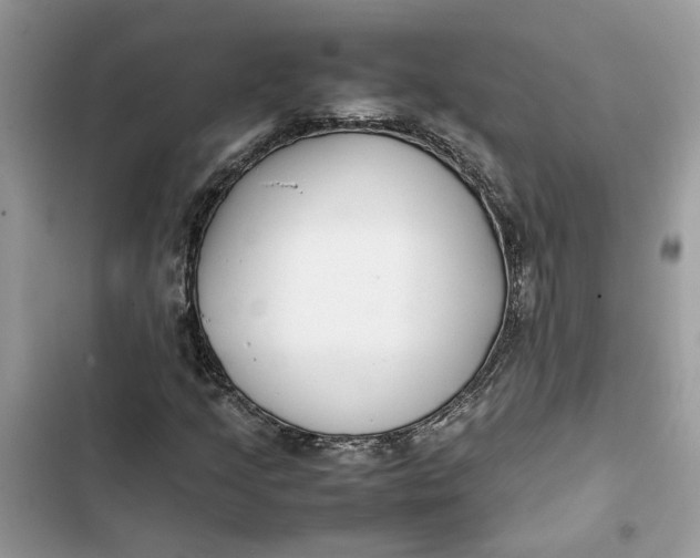 X0000103411205200810031238