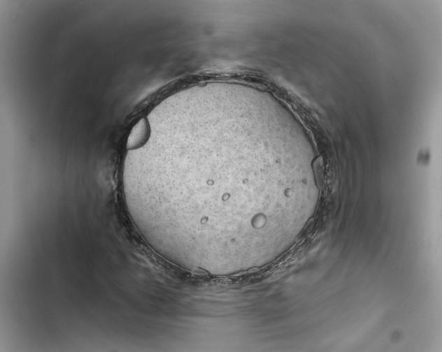 X0000103411206200810031238