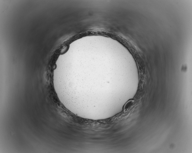 X0000103411207200810031238