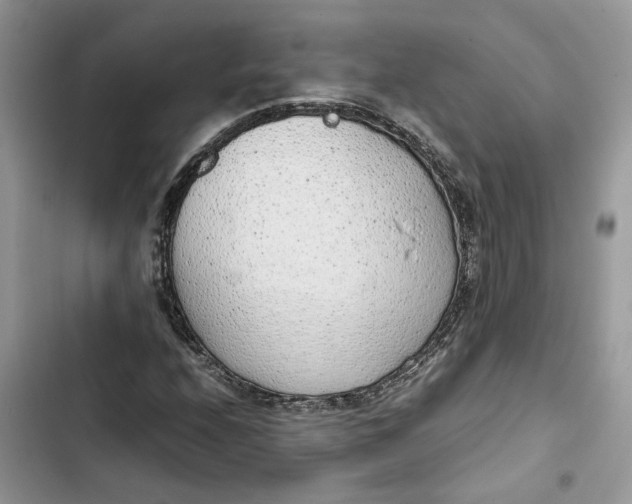 X0000103411208200810031238