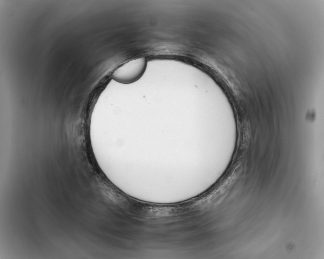 X0000103411211200810031238