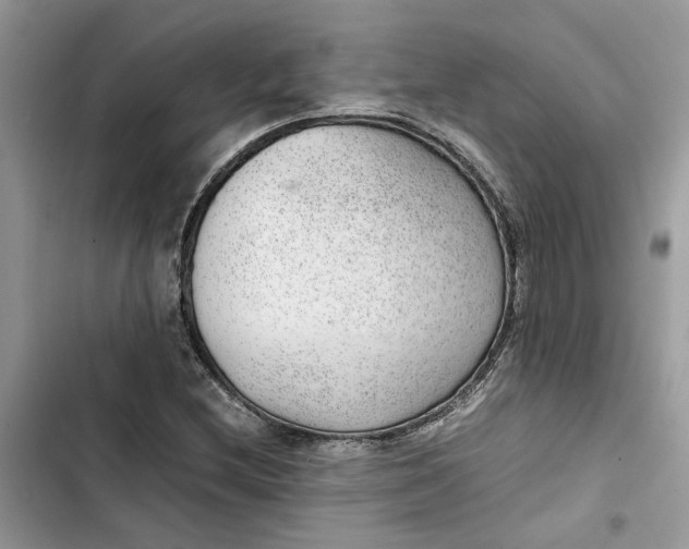 X0000103411212200810031238