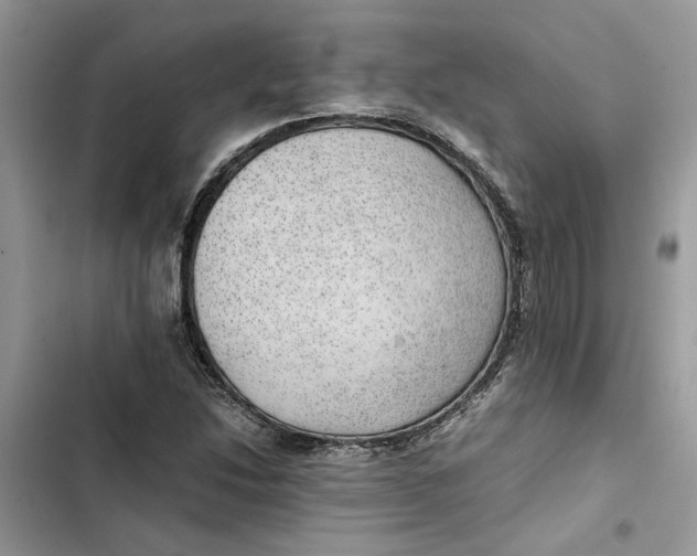 X0000103411214200810031238