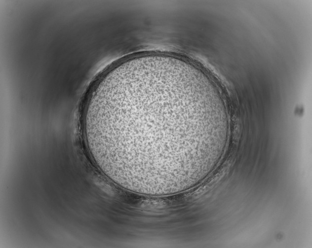 X0000103411215200810031238