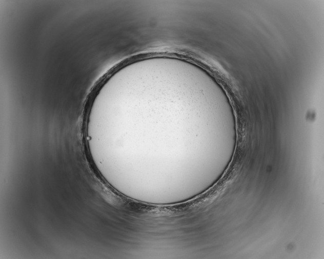 X0000103411216200810031239