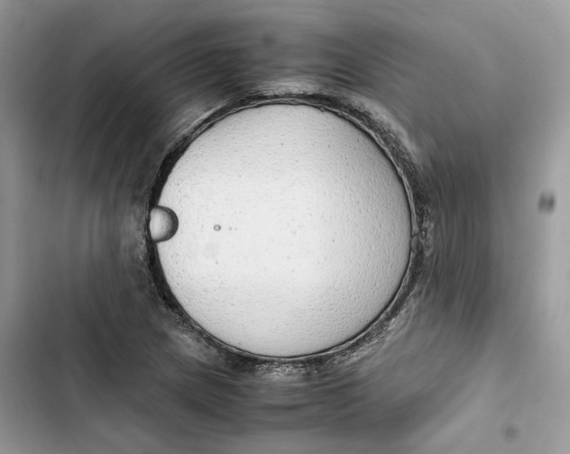 X0000103411217200810031239