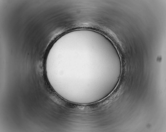 X0000103411218200810031239