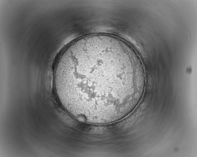 X0000103411219200810031239