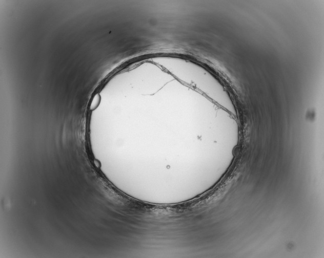 X0000103411220200810031239