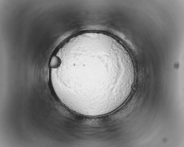 X0000103411221200810031239