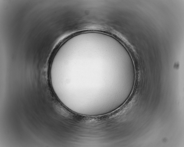 X0000103411222200810031239