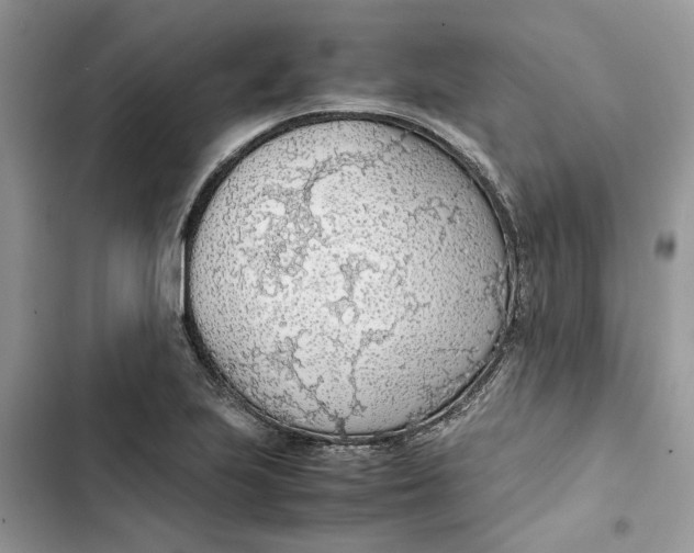 X0000103411223200810031239