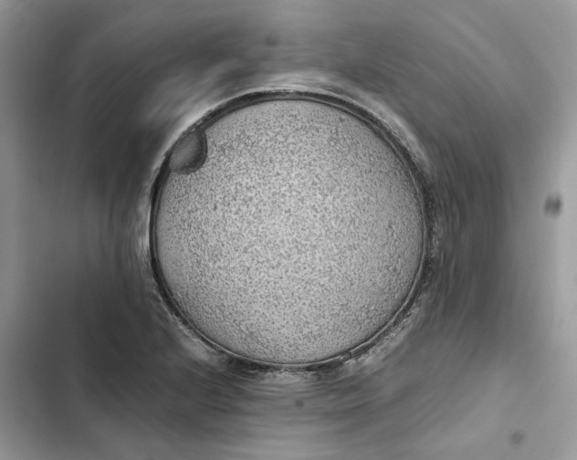 X0000103411224200810031239