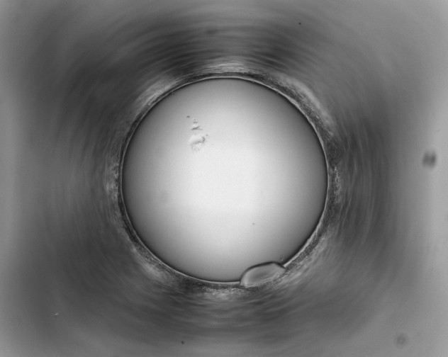 X0000103411225200810031239