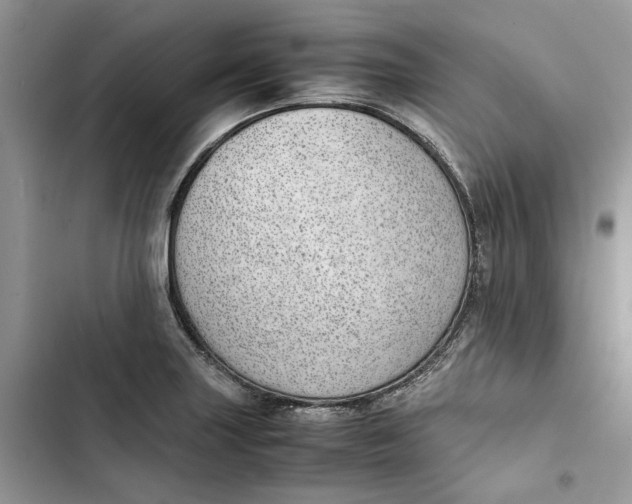 X0000103411227200810031239