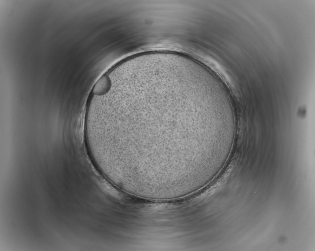 X0000103411228200810031239