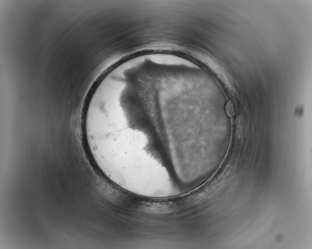 X0000103411229200810031239