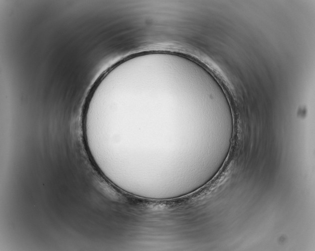 X0000103411230200810031239