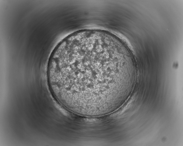 X0000103411231200810031239