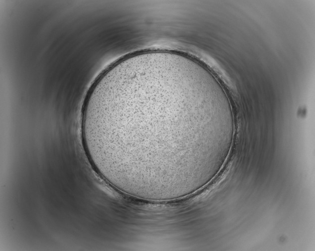 X0000103411232200810031239