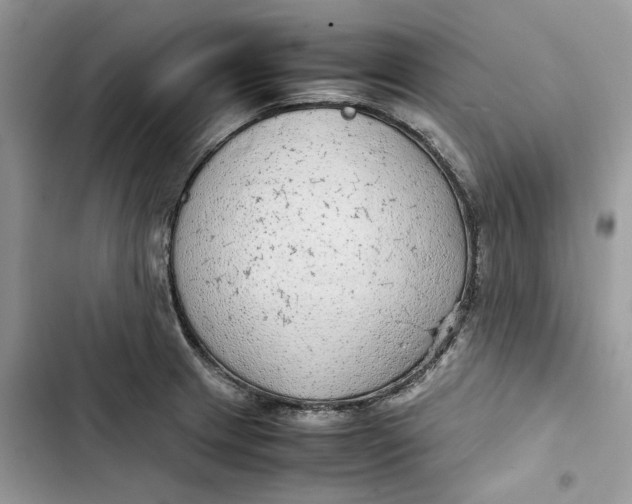 X0000103411233200810031239