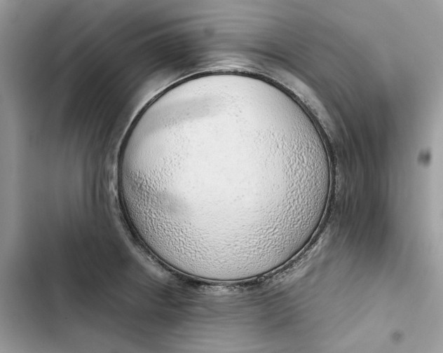 X0000103411234200810031239