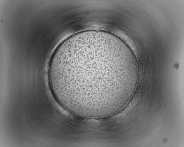 X0000103411235200810031239